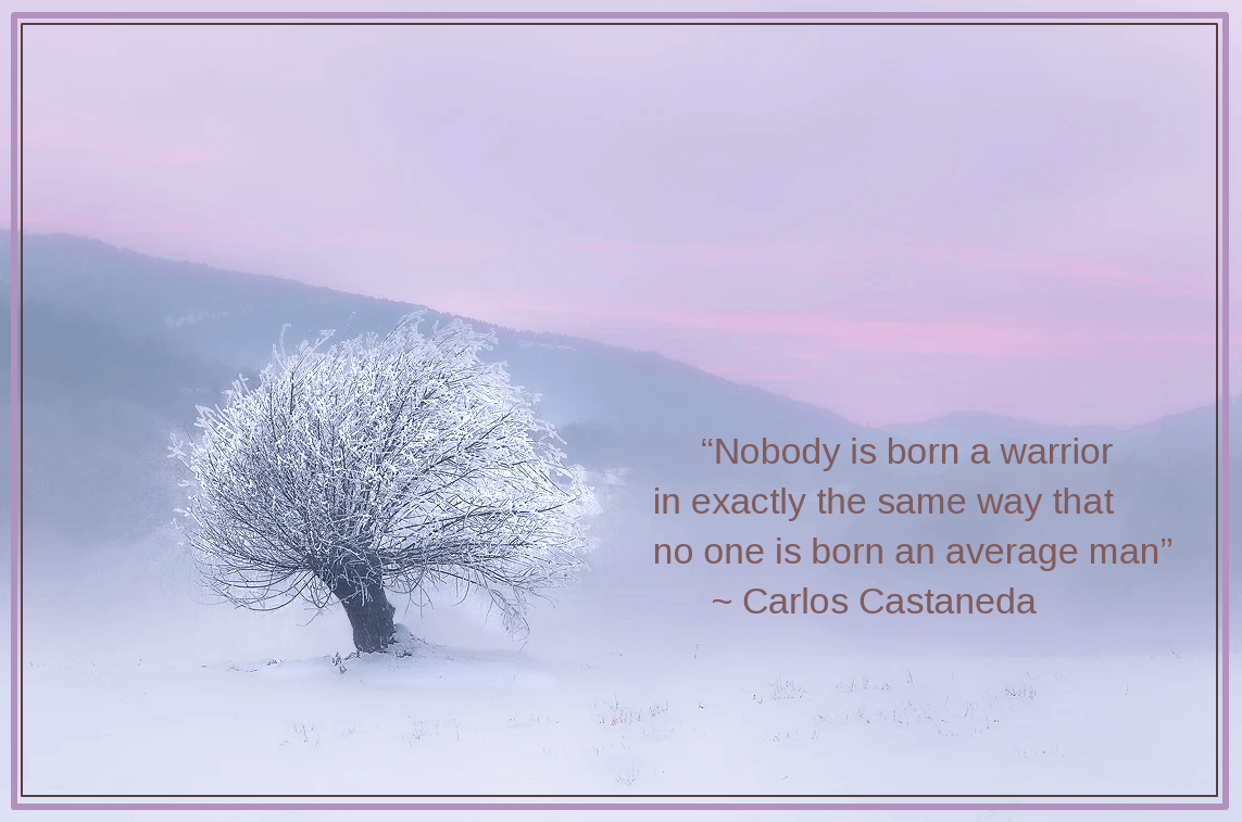 Solitude from Dino Marsango