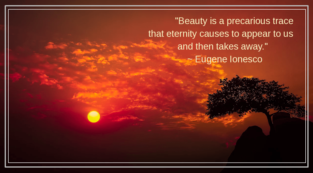 Sunset from Houndog photography works