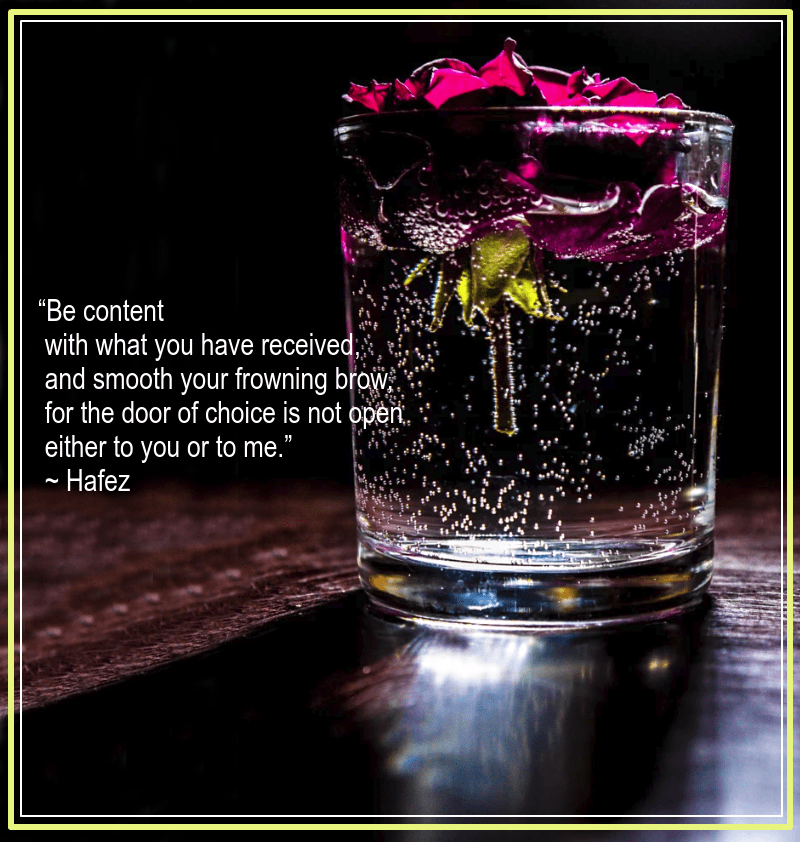 Violet from Austin Broadbent.png