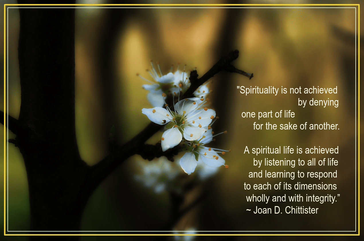 Blossom from June Ferrol