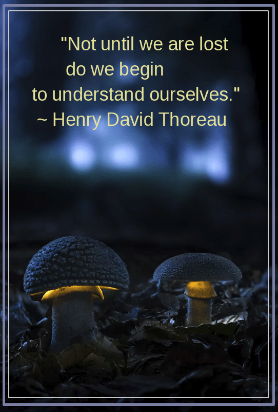 Homunculus from Daniel Laan