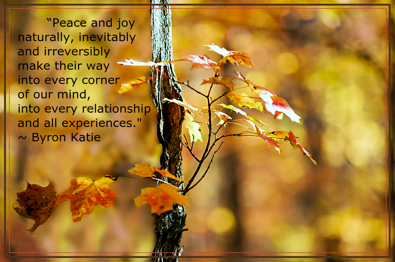 Maple from Elena Elisseeva