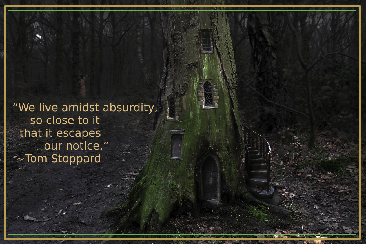 Shadows from Gary Dixon