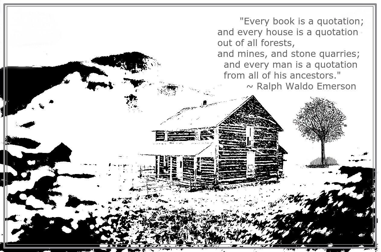 Sheltered from Stephen K Miller