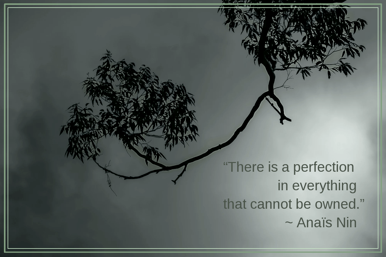 Simplicity from Jac k