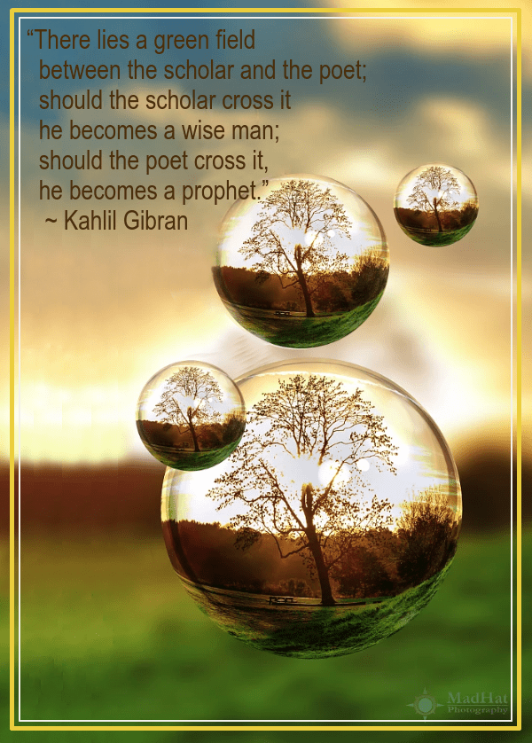 Trees of light from Gaz Prescott