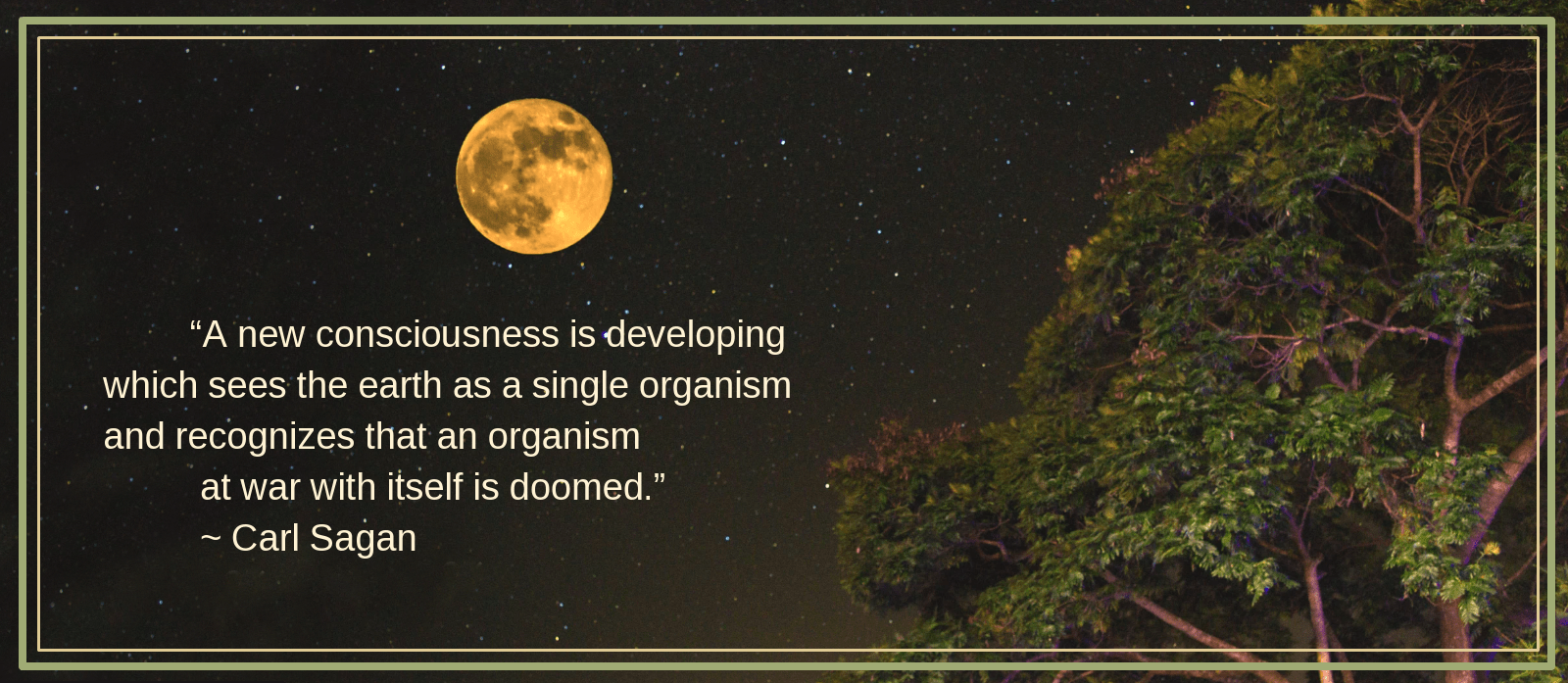 Nightfall from Samrat Roy