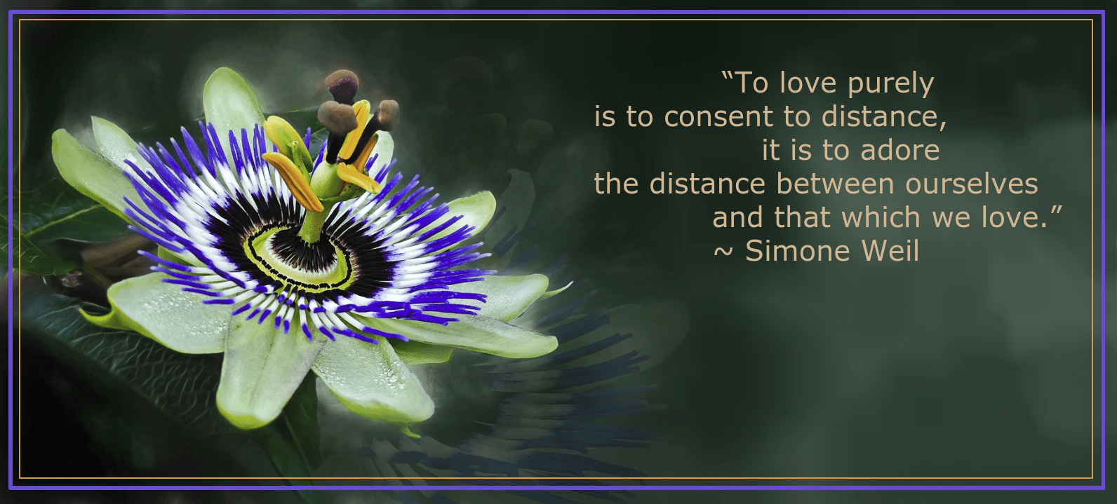 Passion from Jrg Wolfshfer