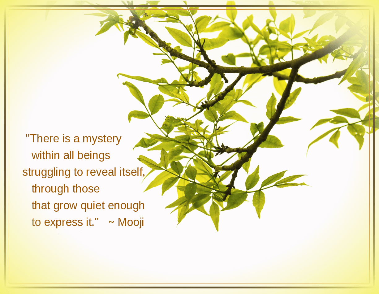 Spring from Wei-San Ooi