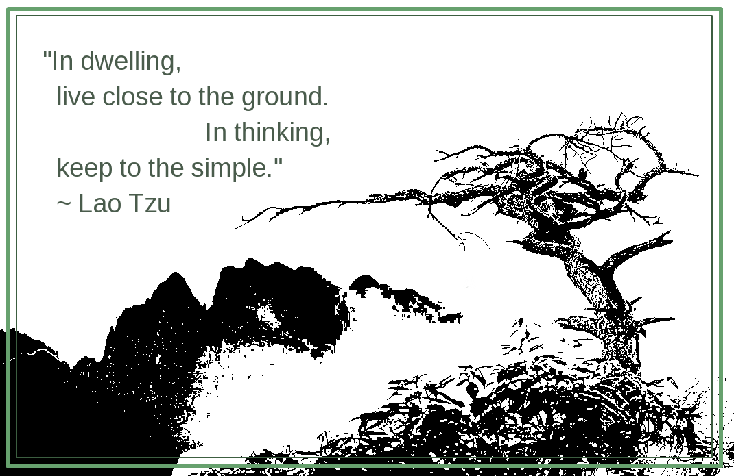 The Observer from Avenue image