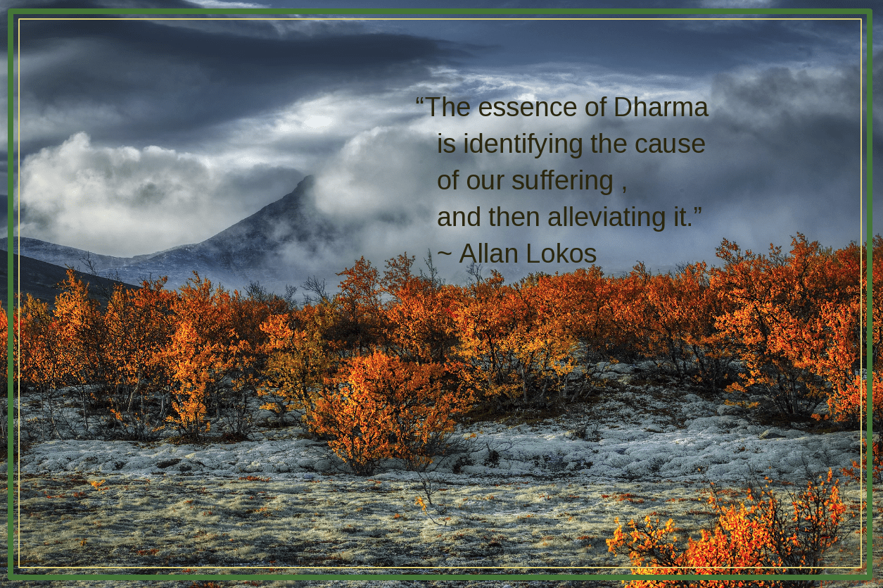 Autumn from Alen Cemer