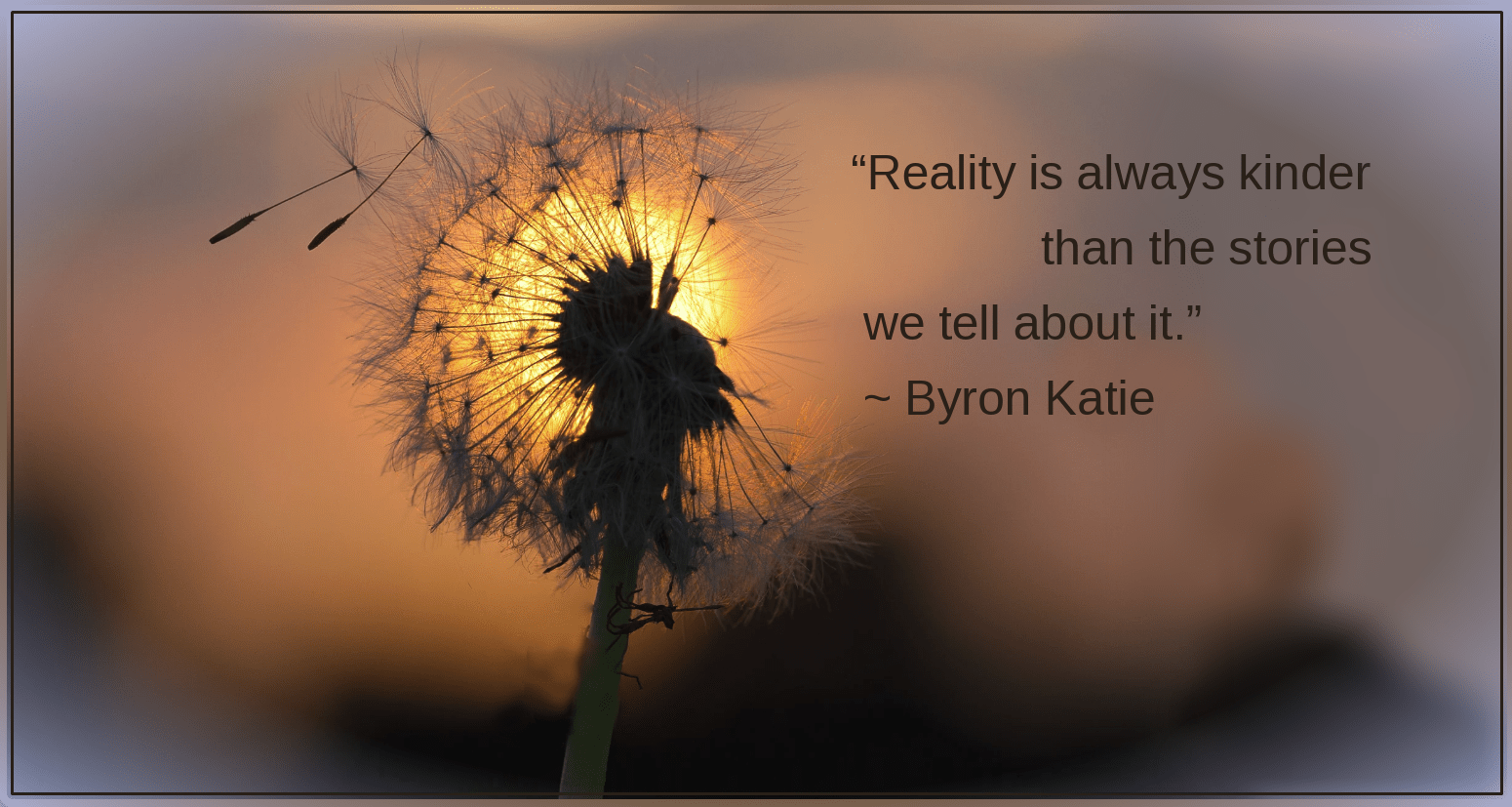 Dandelion from Petros