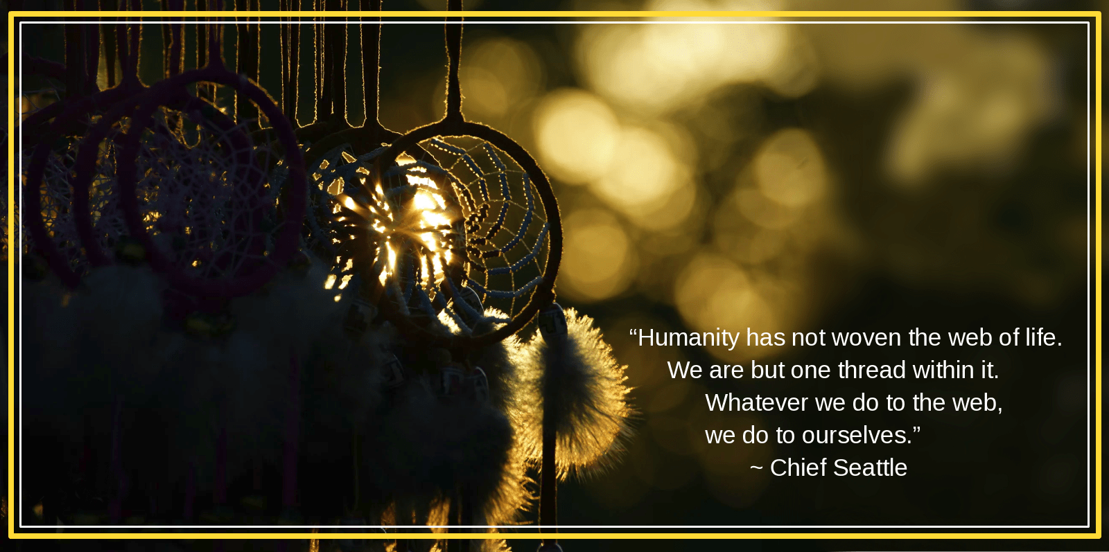 Dreamcatcher from Sean Shipley