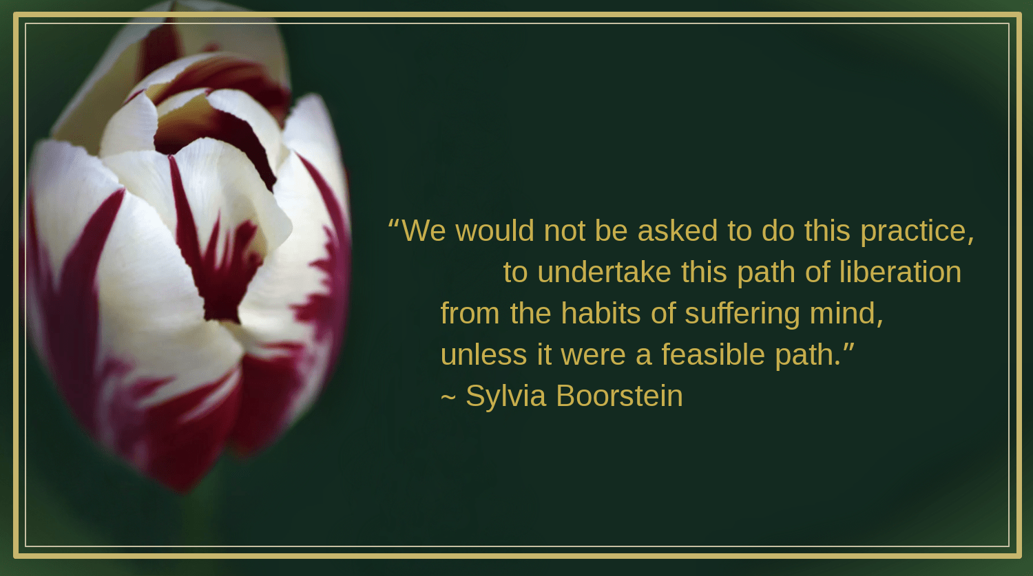 Screenshot 2018-10-14 at 9