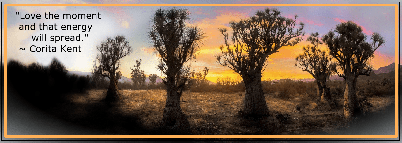 Sotolines Field Tehuacn from Luis Lyons