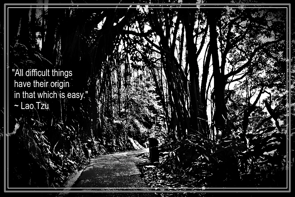 Balete Tree from Barriotic Witch