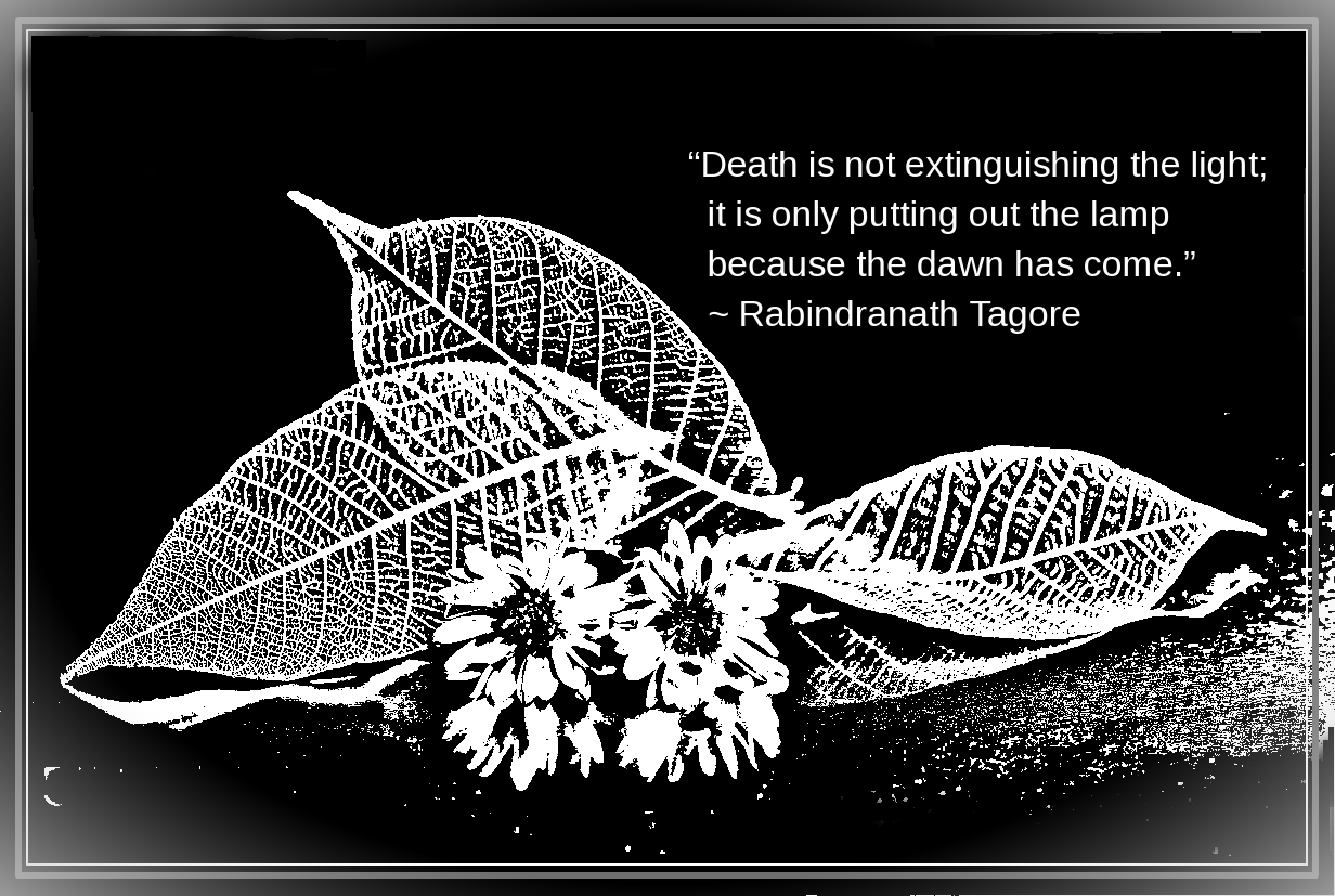 Daisy from Lafugue Logos