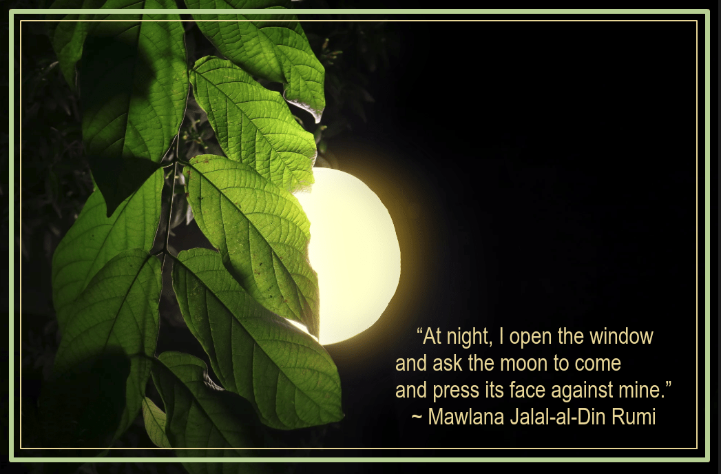 Light from Golam Rabbi.png