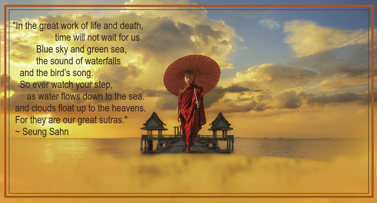 Novice from Anek S 2