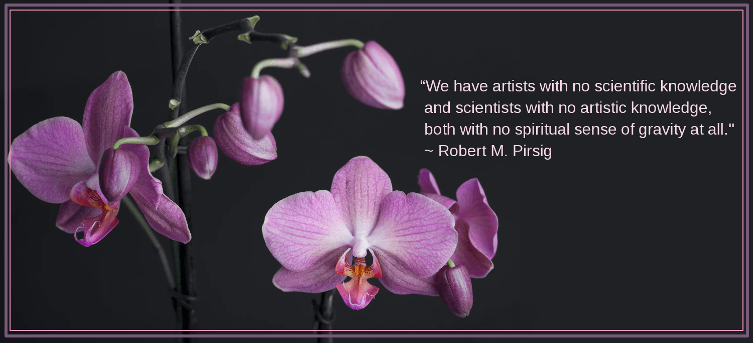 Orchids from Alessandro Cadoni