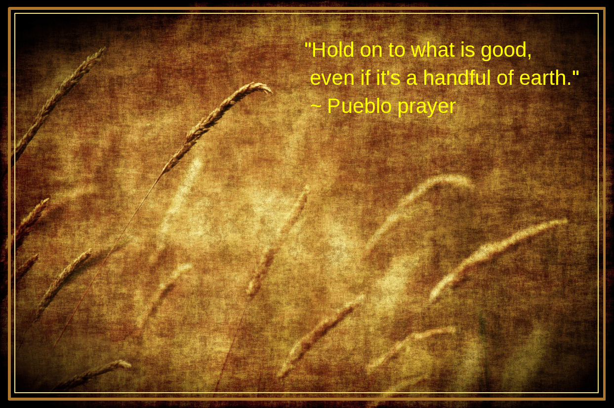 Prairie from Dave Parrott