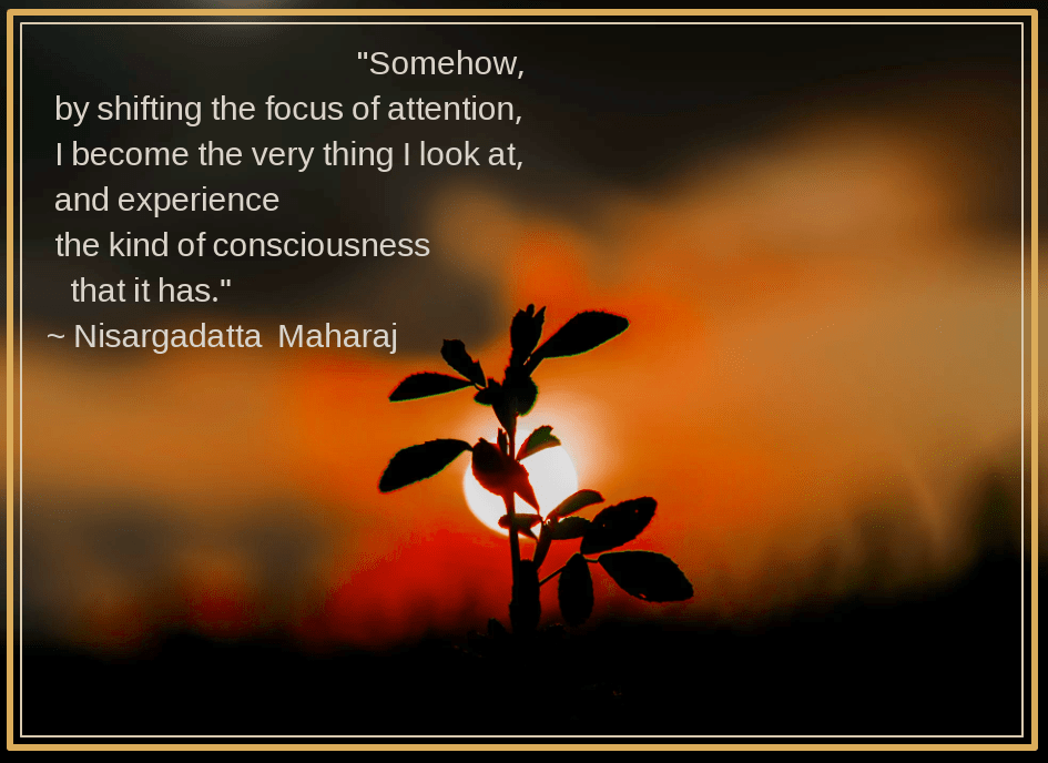 Sunrise from Shan Patel