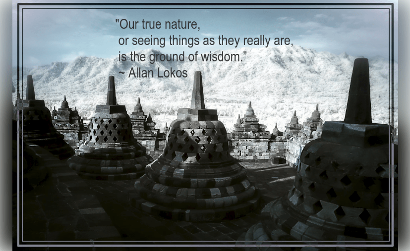 Borobudur Temple from Andrey X