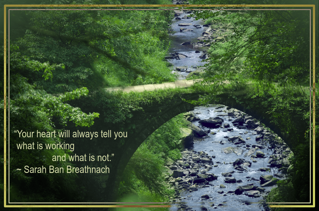 Bridge from zhengming Yi