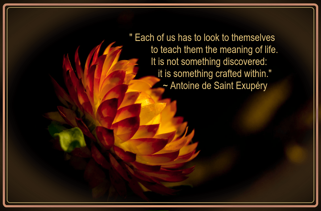 Nature from Tanveer Shah