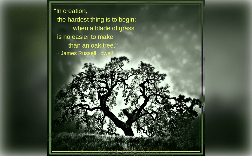 Oak from Nathan Wirth