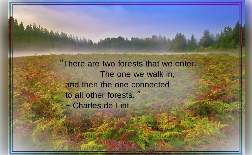 Prairie Creek Redwoods from Kal K