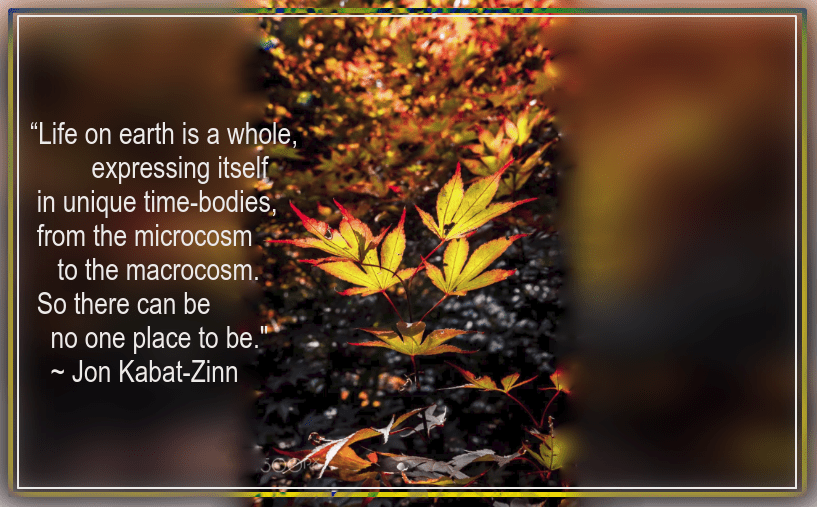 autumn from stephen robinson