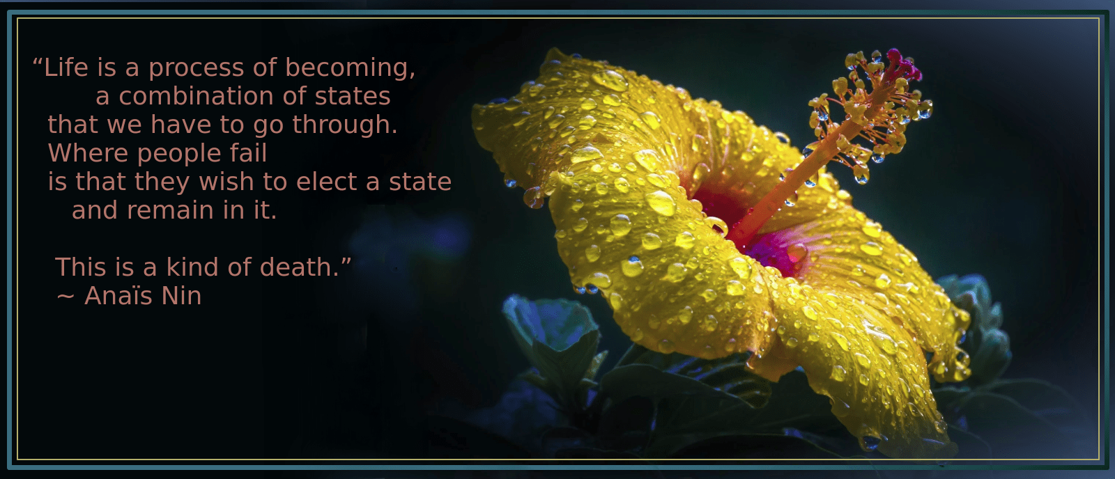 dew from bassam sabbagh