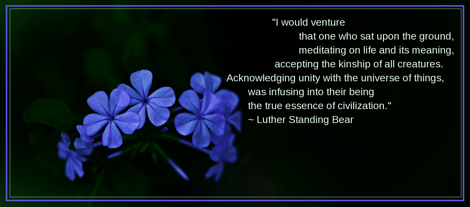 dewdrops from swapna rajekorgaonkar