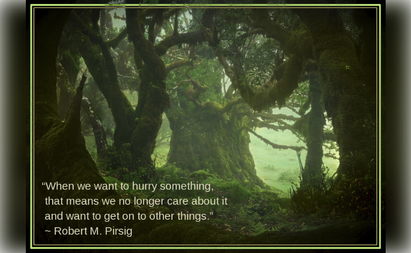 fangorn forest from enrico fossati