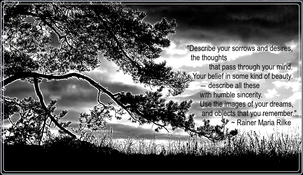 forest from jarl gillenberg