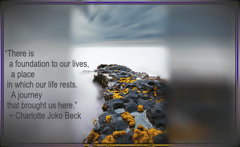 life from christian schweitz