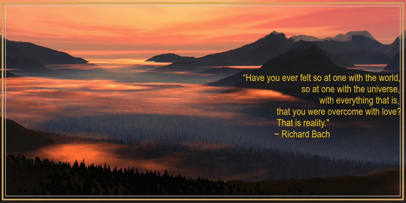 PIne forest from  Solly Levi .png