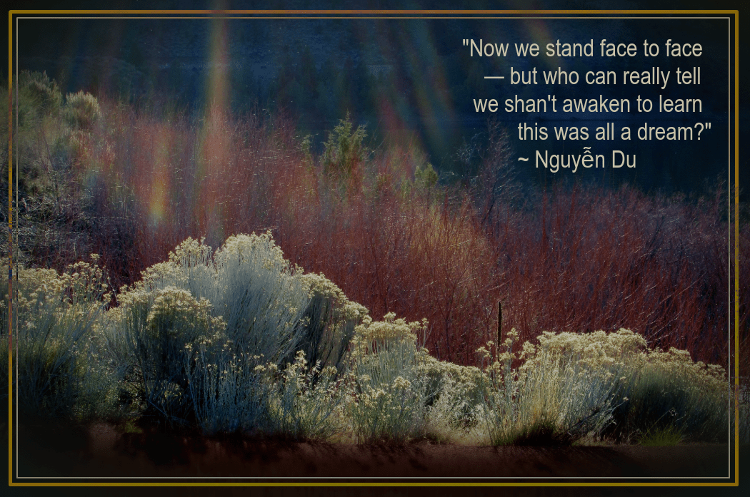 sage and brush from carol bruce