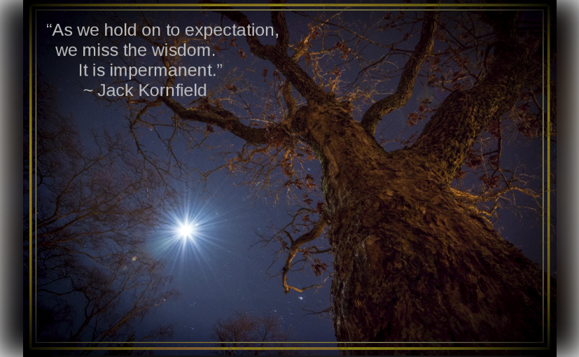 treelit from sigurd svidal randal